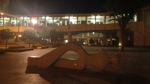 P9040038