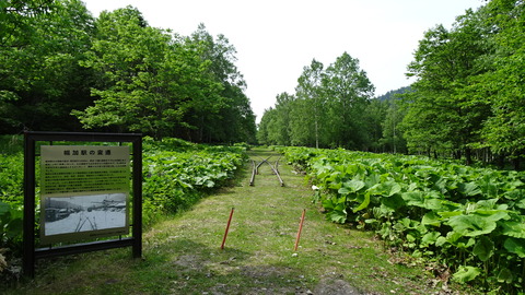 DSC00158