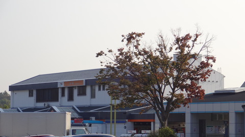 DSC00120
