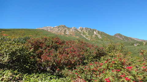DSC02482