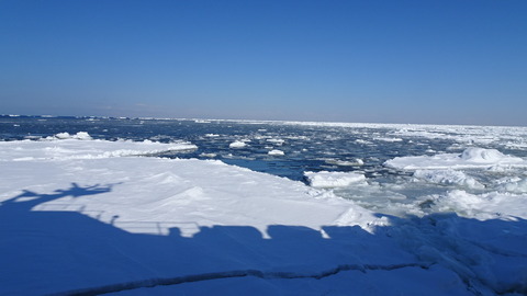 DSC01946