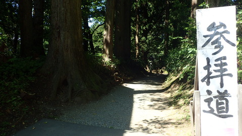 P9050234