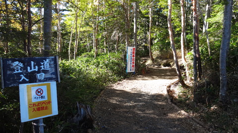 DSC02474