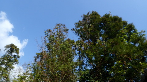 P3300371