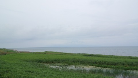 DCIM0498