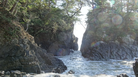 DSC01329