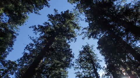 P9050216