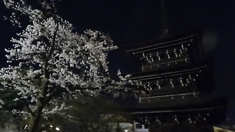 DSC02597