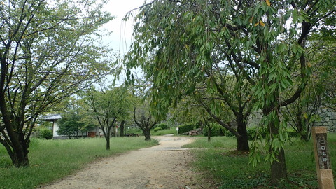 P9250061