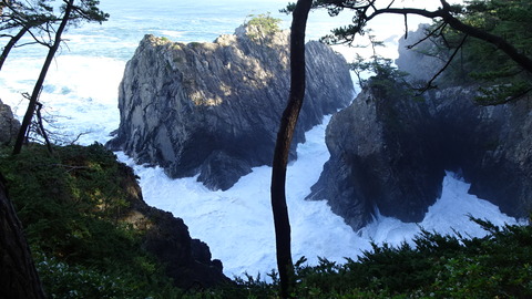 DSC01248