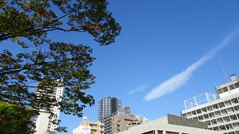 DSC00874