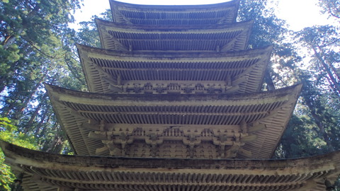 P9050226