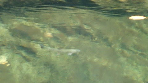 PA180063