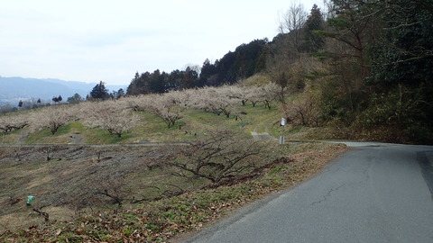 P2230321