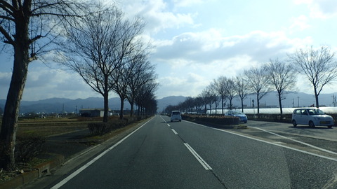 P2210049