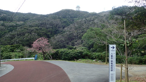 P1240051