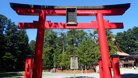 P9050236