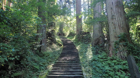 P9050228