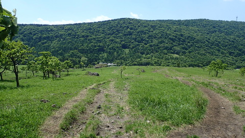 P5260106