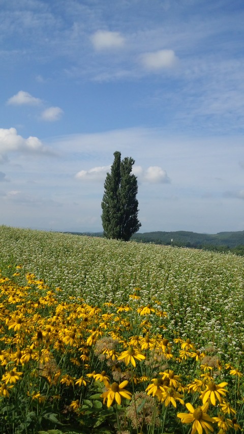 DCIM0495