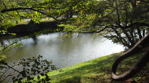 DSC02199