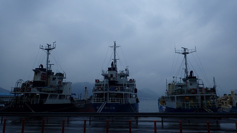 P3310391