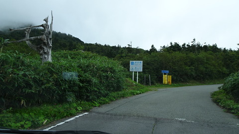 DSC00454
