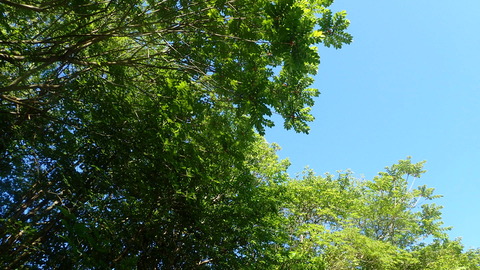 P5270240