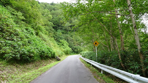 DSC00460