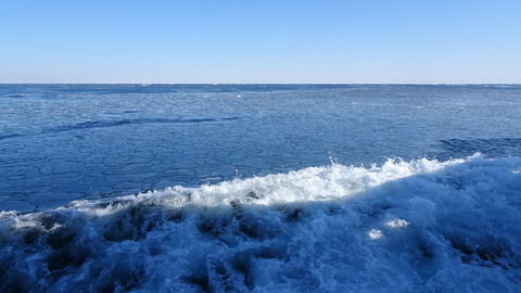 DSC01910