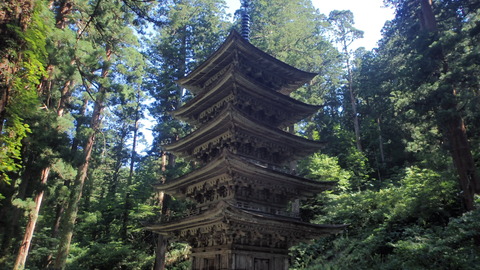 P9050227