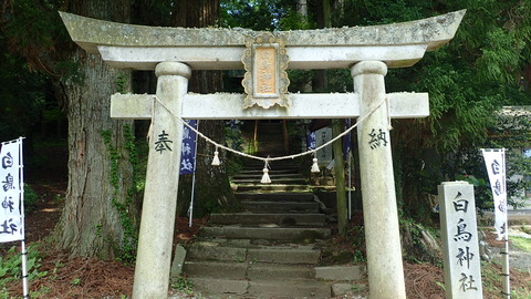 P5260152