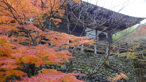 DSC03026