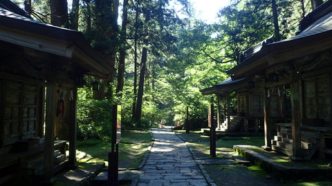 P9050217