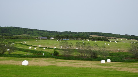 DSC00205