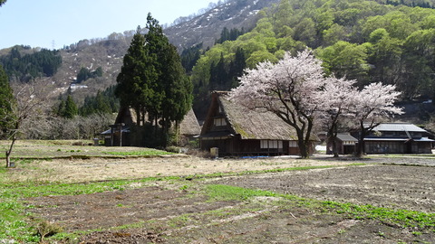 DSC02718