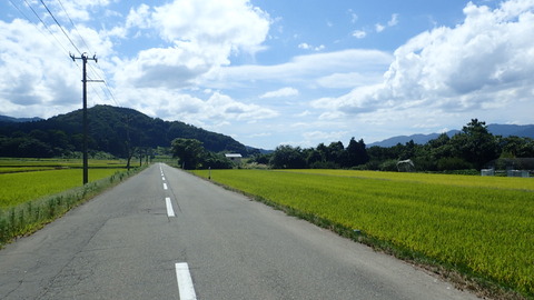 P9050245