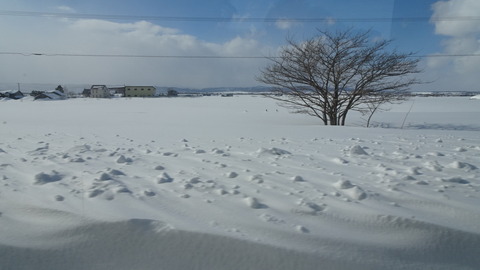 DSC01794