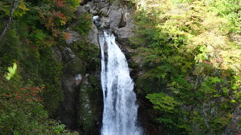 DSC00896