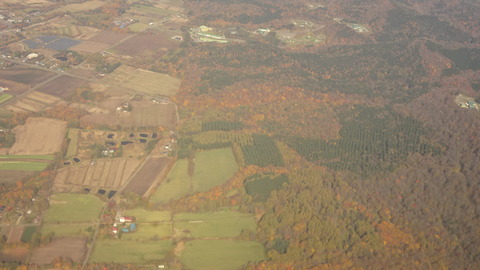 DSC01453