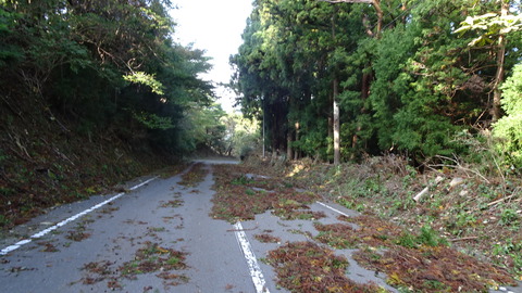 DSC01399