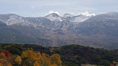 DSC03539