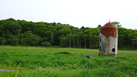 DSC00208