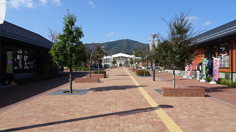 DSC01347