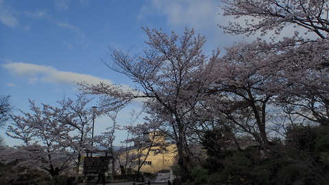 P4050058