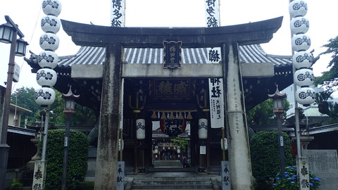 P5290036