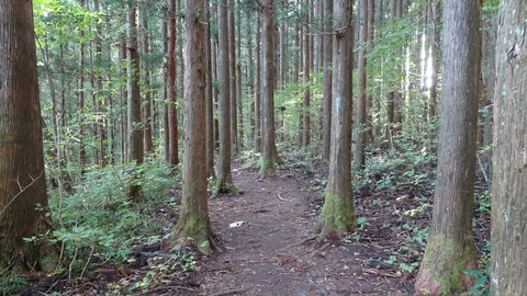 DSC00885