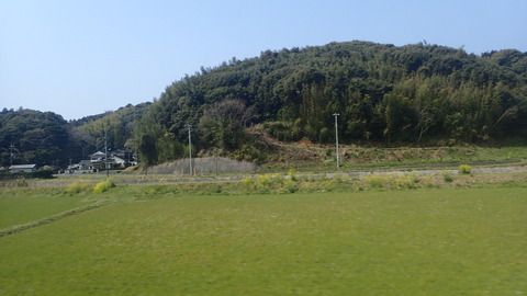 P3300351