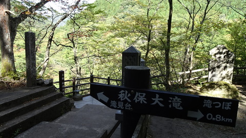 DSC00897