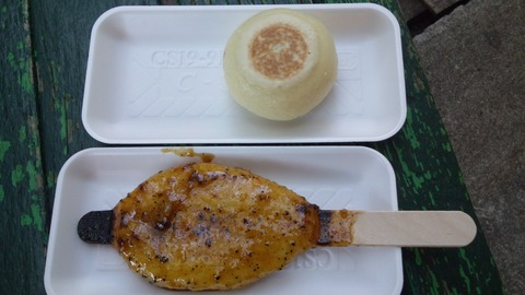 DCIM1310